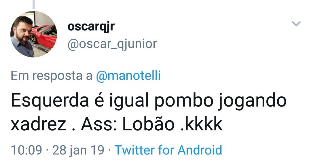 jogar xadrez com pombo lobão