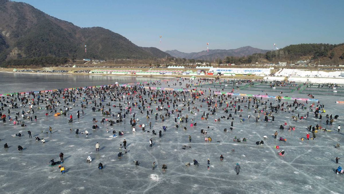 InjeIcefish tweet picture