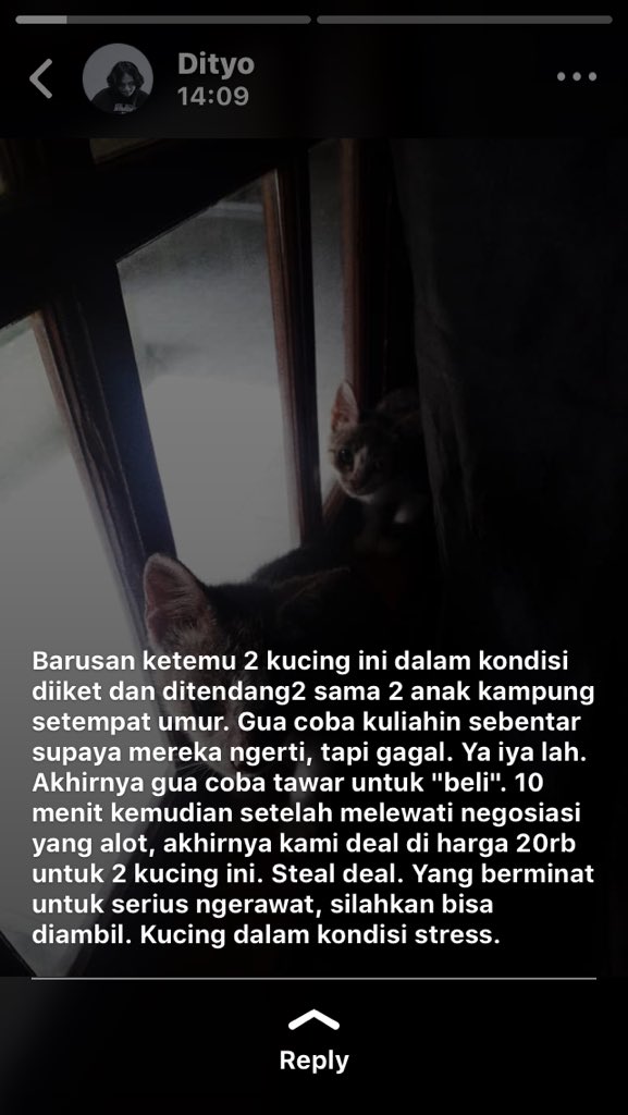 halonahector's tweet photo. Mohon bantu RT koh @amrazing ,barangkali ada follower kokoh yang mau merawat. Lokasi condong catur, Jogja. Terimakasih banyak sebelumnya 🙏🏻🙏🏻 https://t.co/b30XSWF9t4