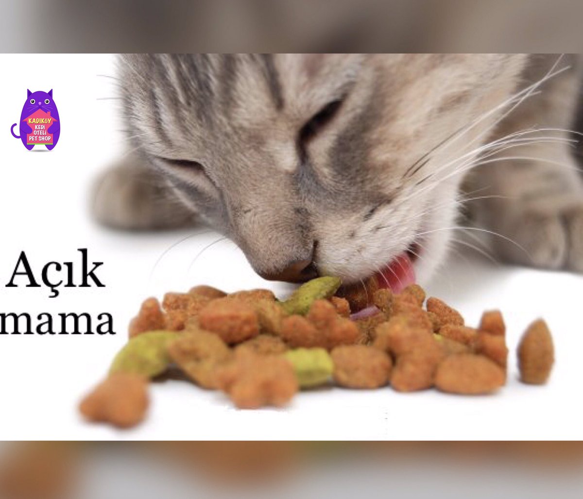 Türkiye’nin her yerine 9,90 TL kargo ücretiyle ProPlan, RoyalCanin, ProChoice ve daha fazlası.. Üstelik açılışa özel uygun fiyatlarla