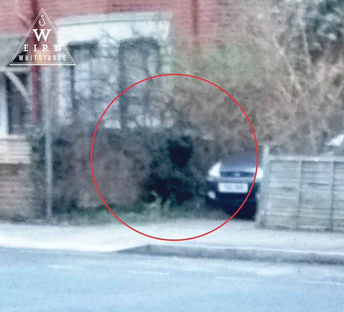 Croucher in plain sight seen in Whitstable. More here:
weirdwhitstable.blogspot.com/2019/01/crouch…
#weirdwhitstable #cryptozoology #woodsprite #raggety #whitstable #croucher