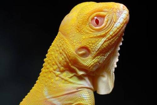 archillect's tweet image. 