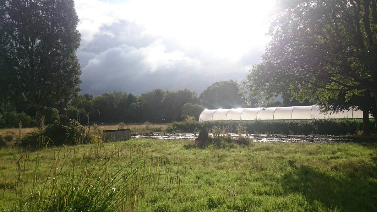 kindlingtrust's tweet photo. Join us on Saturday 9th Feb and/or Sunday 10th Feb for a wonderful day of #volunteering at Woodbank Community Food Hub in #Stockport. For more info visit: https://t.co/xaCoRKcCpN &amp; email landarmy@kindling.org.uk to sign up. https://t.co/IgPOY5ZY38