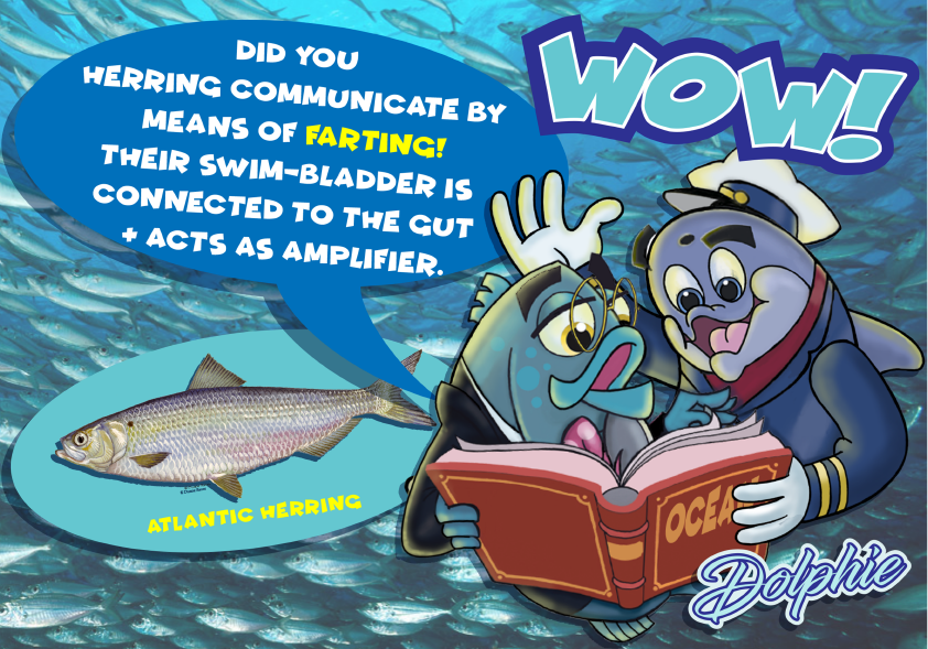 #oceanelders #worldoceanobservatory #greenpiece #WWF #oceanmagazine #oceanloversclub #scubadivingclubs #ocean_imaging #wylandmarineartist #guyharvey #marineconservation #SaveOurOceans #plasticfree #oceanhub