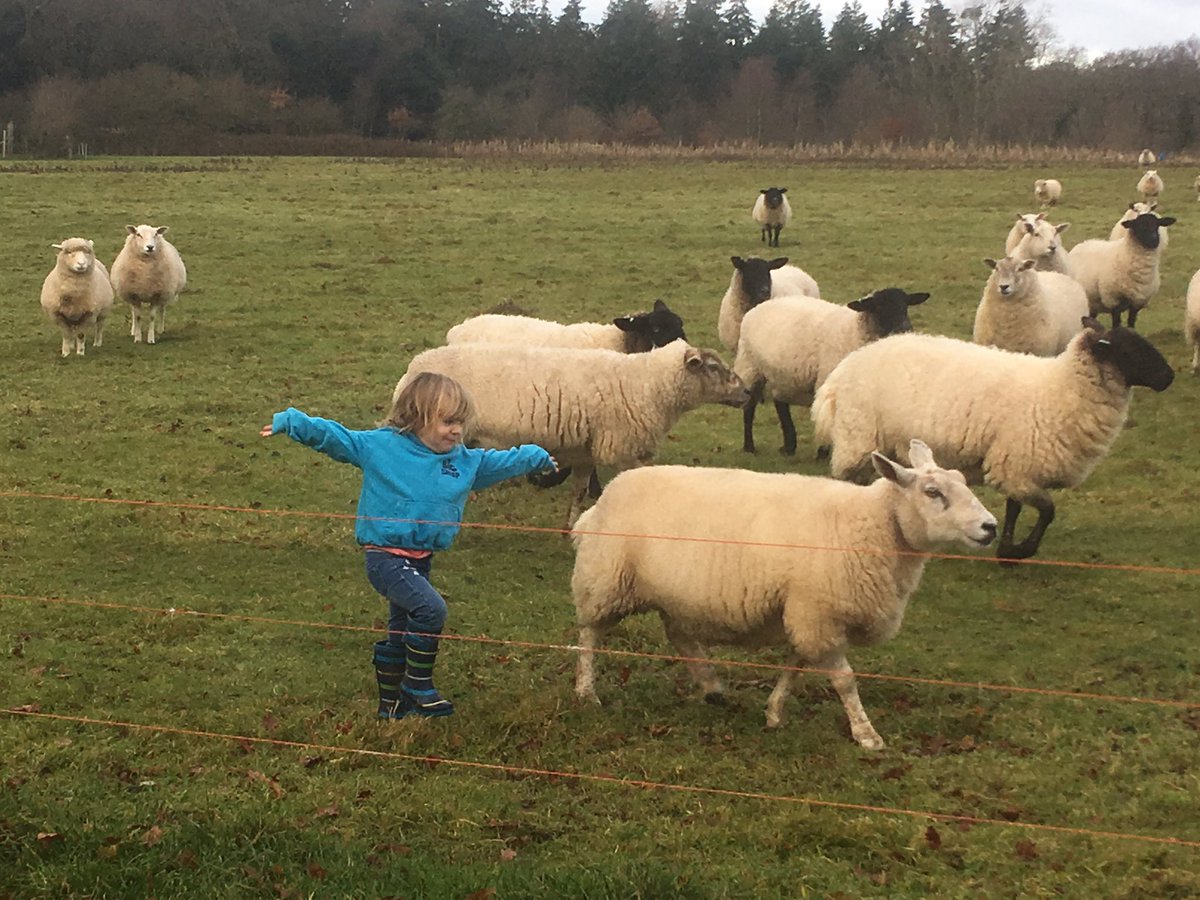 hatchettdexter's tweet photo. At a time when #farming #commoning is getting bad press it is important to remember that we all need farmers &amp; to remember just how much farmers care about their animals. It is a way of life for the whole family. And we LOVE it. #proudtobeafarmer @Cuffnells @Tomsforestbeef https://t.co/RFthdQvFsb
