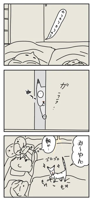 くわぁ…
 