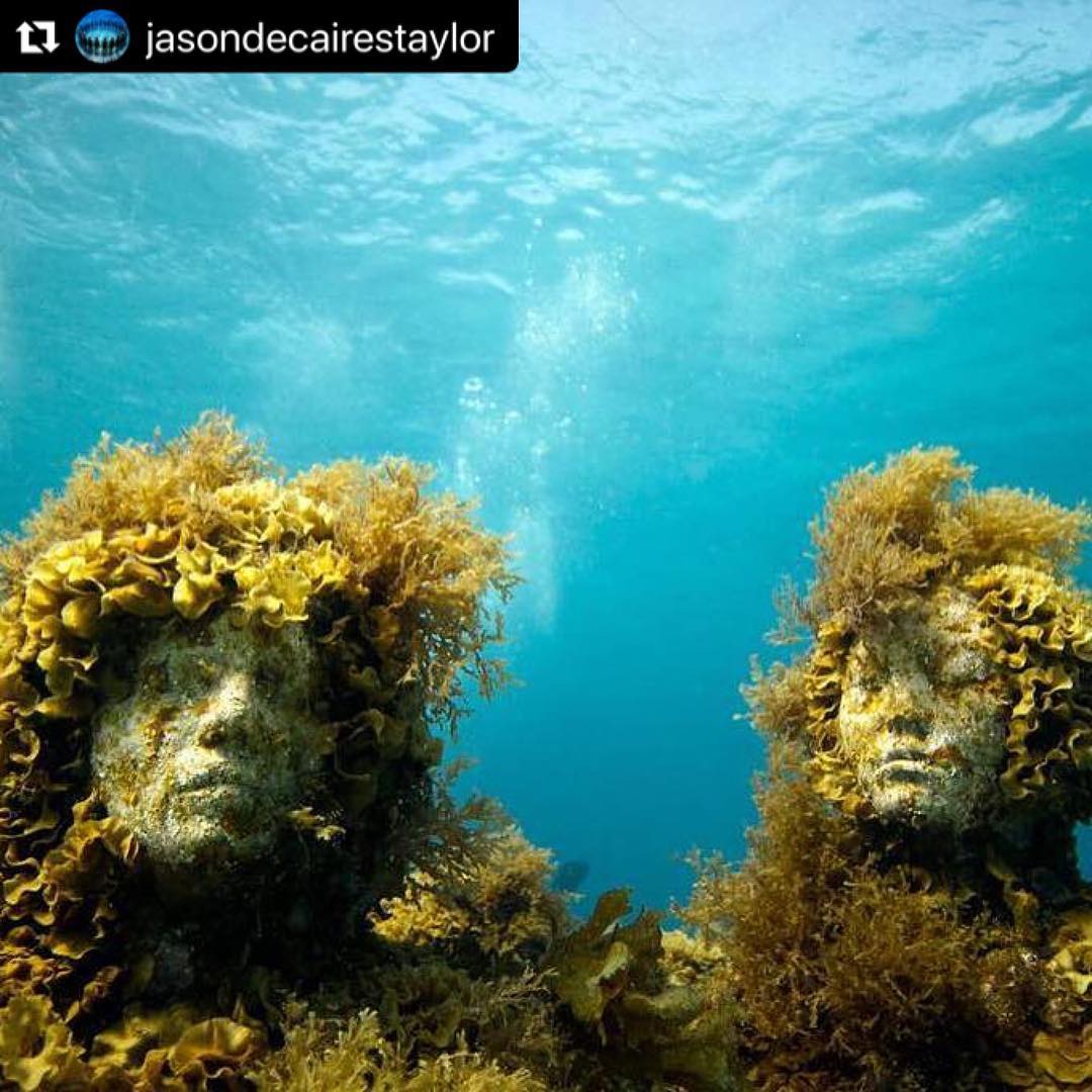 Stunning #underwatersculptures of #jasondecairestaylor in #Cancun.100 #species found a home on the #artificialreefs #scubadiving #reef #coralreef #artificialreefs #ecoengineering #ecologicalengineering #biomimicry #récifsartificiels #plongée #ecoingénierie  #ingénierieécologique