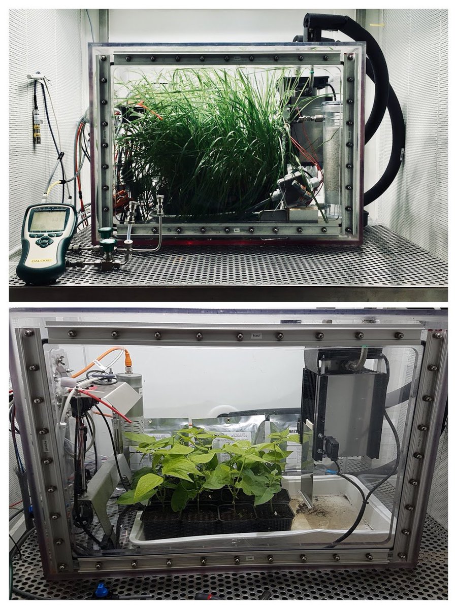 New lease of life for the old materially closed boxes from @Silwood_Park's former #ecotron curtesy of Phil Ineson (remember? @AndreasHeinem @PeteEcology @JASubke). @ClementPiel & @JoanaSauze @EcotronCNRS are using them for an 16/17/18O fractionation project +@LSCE_IPSL+@CEREGE.