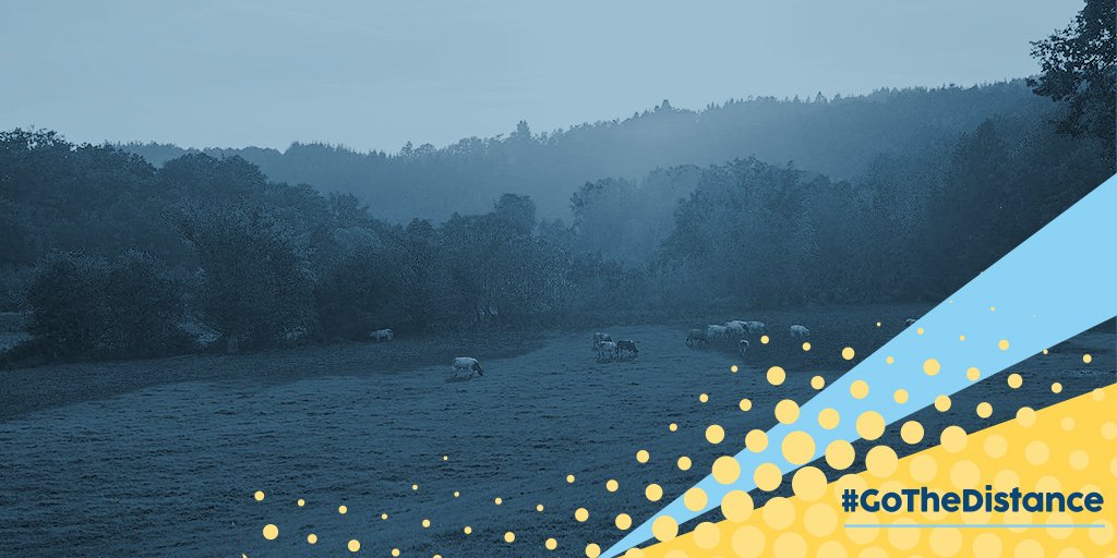 FINAL COMPETITION! Fancy a taste of the outdoor life? You could win a countryside weekend away for two! All you have to do to enter is reply below with who you'd bring with you! #BoostMonday #GoTheDistance #win #competition 

Ends 31/01 
T&amp;Cs apply