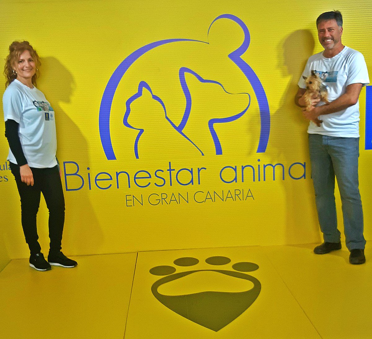 miguel_rsosa's tweet image. #Animundo Todos los perros ADOPTADOS❤, 48 del Albergue del @GranCanariaCab y 10 de protectoras. 

6.236 visitantes, 28% más que en la edición anterior, y 664 perros, un 75%. 8 pasarelas de adopción, 15 charlas, 4 exhibiciones, 1 muestra de razas autóctonas y 4 talleres.

Gracias