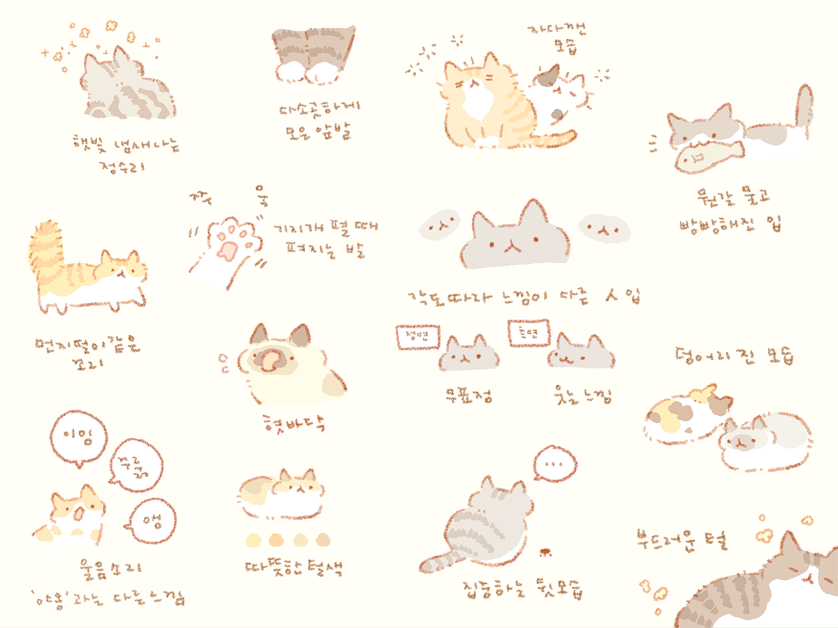 내가 생각하는 고양이의 귀여운 점