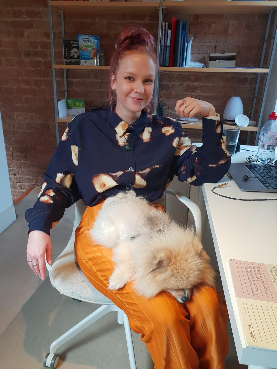 beinthelead's tweet photo. Meet Lobo! At @AppraiseDigital we welcome all fluffy animals at all times. Fair to say we did not get a lot of work done this day! Share some of your own workplace companions.

#DogsOfTwitter #DogsAreBetterThanPeople https://t.co/meO0Ga47qc