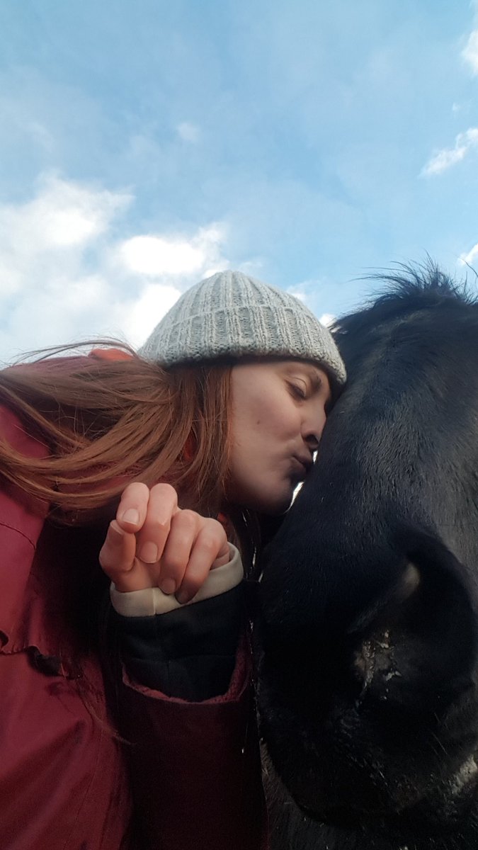 AmmySand's tweet photo. Même si on se voit moins... on continue de traverser ensemble les obstacles et les difficultés 🤗❤
#gysmo #merens #cheval https://t.co/4uDh7p4CgH