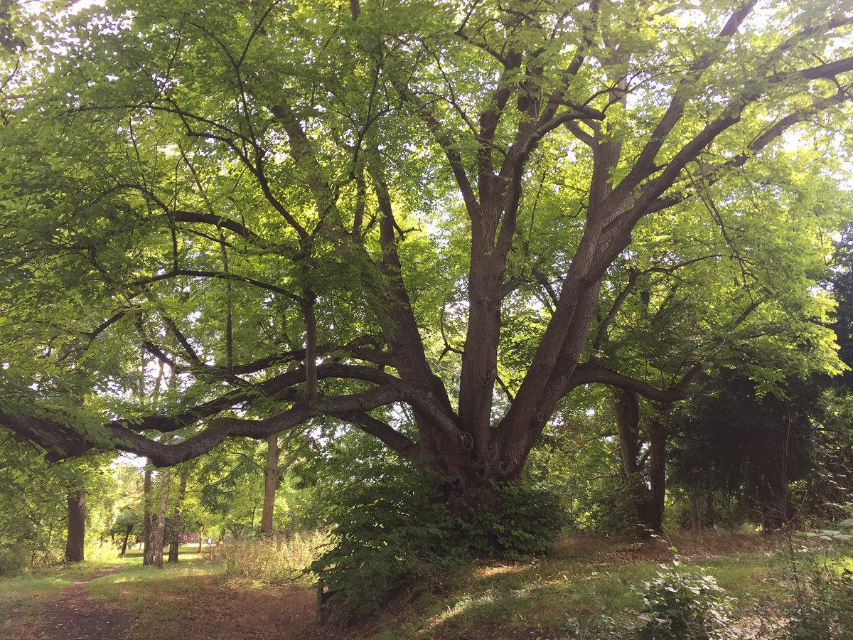 TheParksTrust's tweet image. Book now &amp;amp; join us for a free photographic walk around Great Linford Manor park on Sun 24th Feb. Thank you to @heritagelottery &amp;amp; @BigLotteryFund  for our funding to ‘Reveal, Revive and Restore’ this fantastic park! theparkstrust.com/events/unleash… #HLFsupported