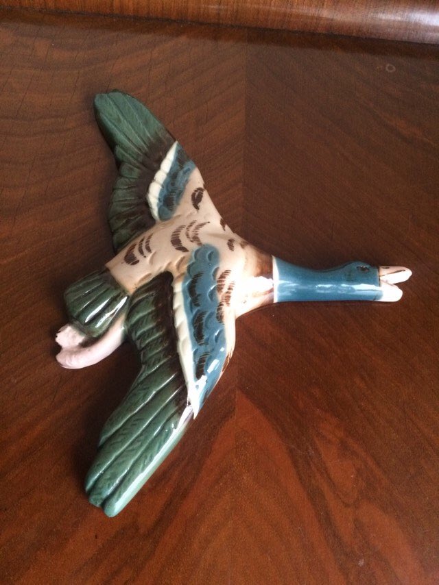 KristosCollect1's tweet photo. Excited to share this item from my #etsy shop: vintage flying wall duck #art #wallduck #collectible #vintageduck #quackquack #flyingduck #beautifulduck #mallard #duckflight ebay https://t.co/ekIibGSN5B https://t.co/lHWsTCIYM5