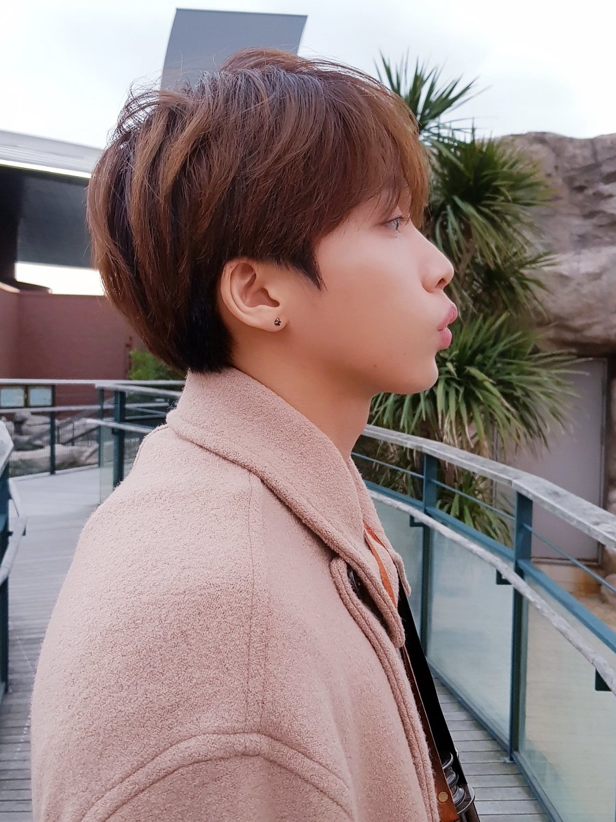 jeongsewoon_twt's tweet photo. [#정세운] 탐정세운 클로즈업🕵️‍♂️ #JEONGSEWOON https://t.co/a3EJF2Oyeo