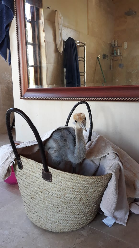 Paul Cluver Family Wines tweet media