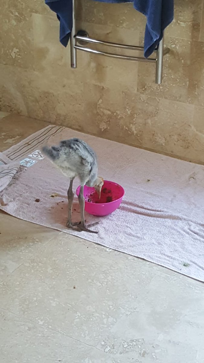 Paul Cluver Family Wines tweet media