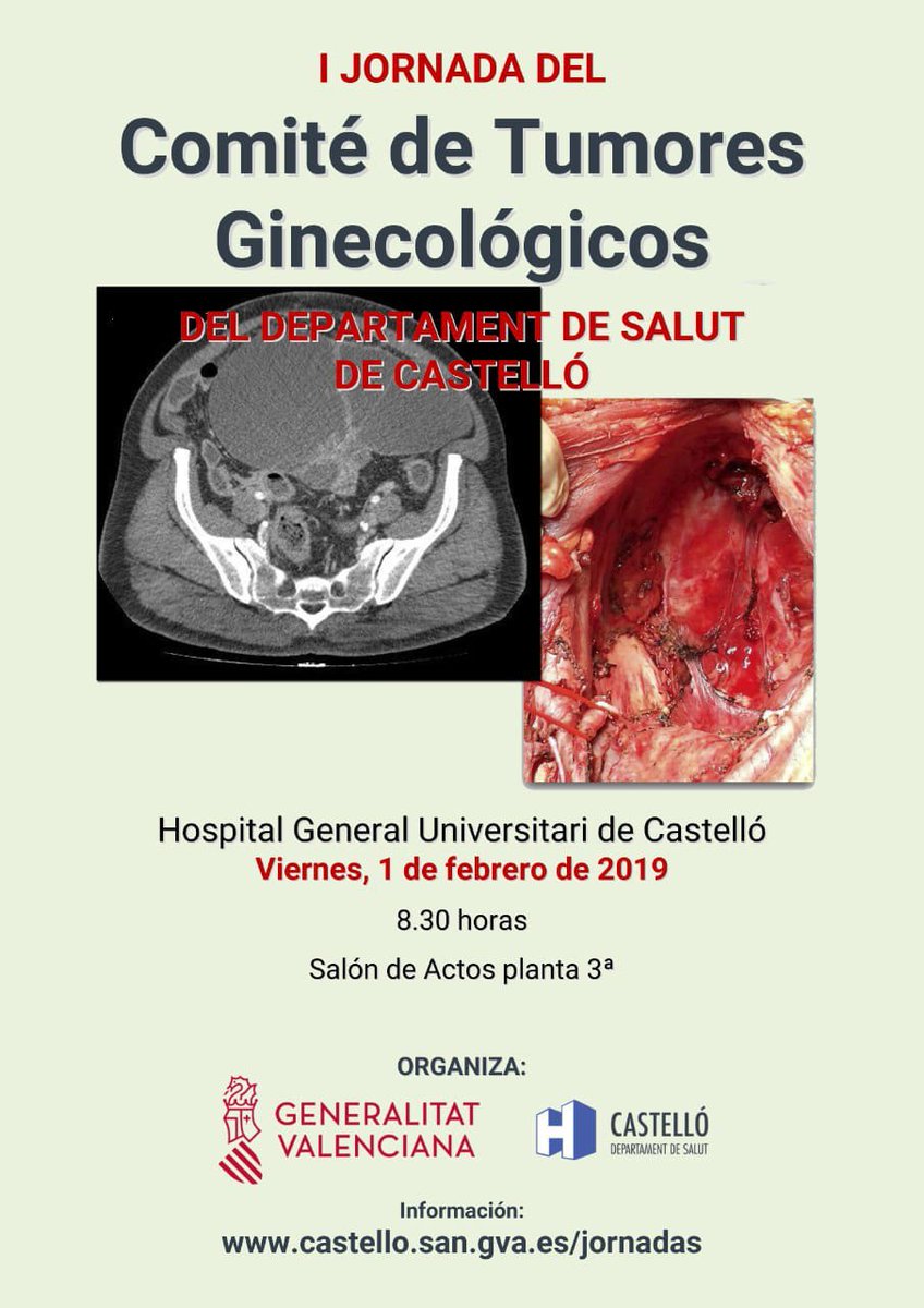 CSCancerSurgery's tweet photo. I Jornada del Comité de Tumores Ginecológicos.
1 Febrero de 2019.
☛ Más información: https://t.co/Y84by0v0Tc
#CSCancerSurgery #CátedraMedtronic https://t.co/KmsyheRrjZ