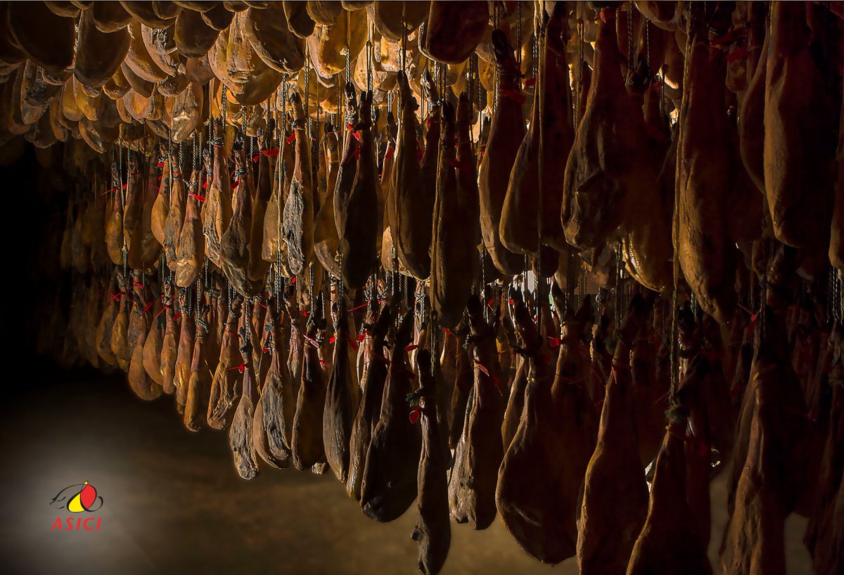 somosibericos's tweet photo. #MONTANERA: régimen de alimentación de los cerdos #ibéricos basado en el aprovechamiento de recursos de bellota y pastizal de las dehesas de la Península Ibérica, y que da lugar a la categoría #bellota, identificada con precintos ⚫️y🔴¿Conoces las otras 2 categorías de #Ibérico? https://t.co/XSBoItdLT5