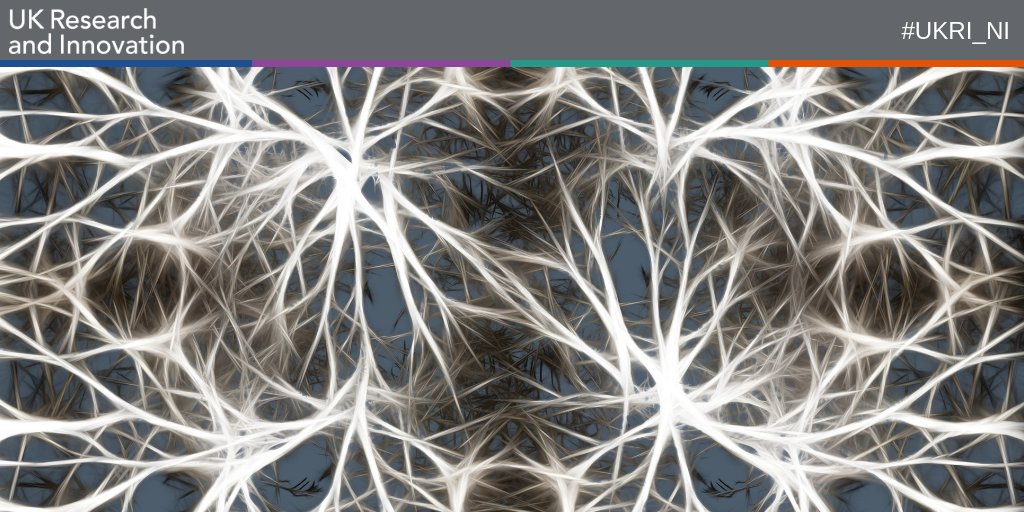 .<a href="/NeuroCONCISE/">NeuroCONCISE</a>, a spin out from <a href="/UlsterUni/">Ulster University</a> funded through the #IndustrialStrategy, makes wearable neurotechnology and won the 2018 Innovation of the Year award at the Institution of Engineering and Technology’s Innovation Awards.

Read more: socsi.in/Ye9VZ 
#UKRI_NI