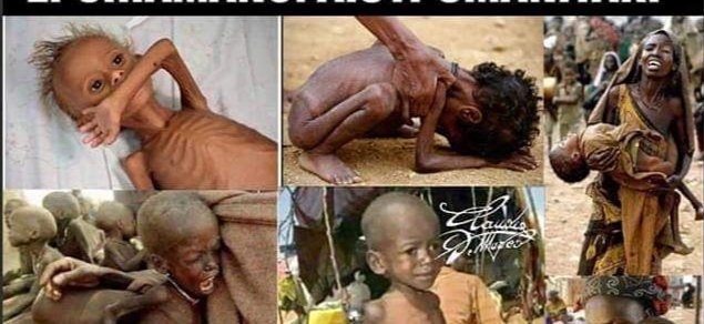 Thelma02559007's tweet image. Nessuno va a prendere questi bambini?!!!!  Come mai?!!!