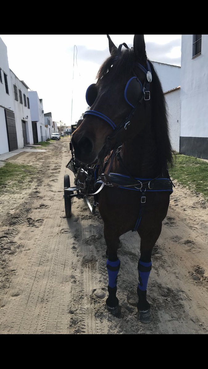 canelitareal's tweet photo. Días de #camdelarias #Maravilloso 😜😜 en buena compañía #Huelva #Almonteayuntamiento #Manuelespinosa  #sevastiangranados ☀️👌🏻👏🏼💃🏾🎉 https://t.co/MGHnNdfaOh