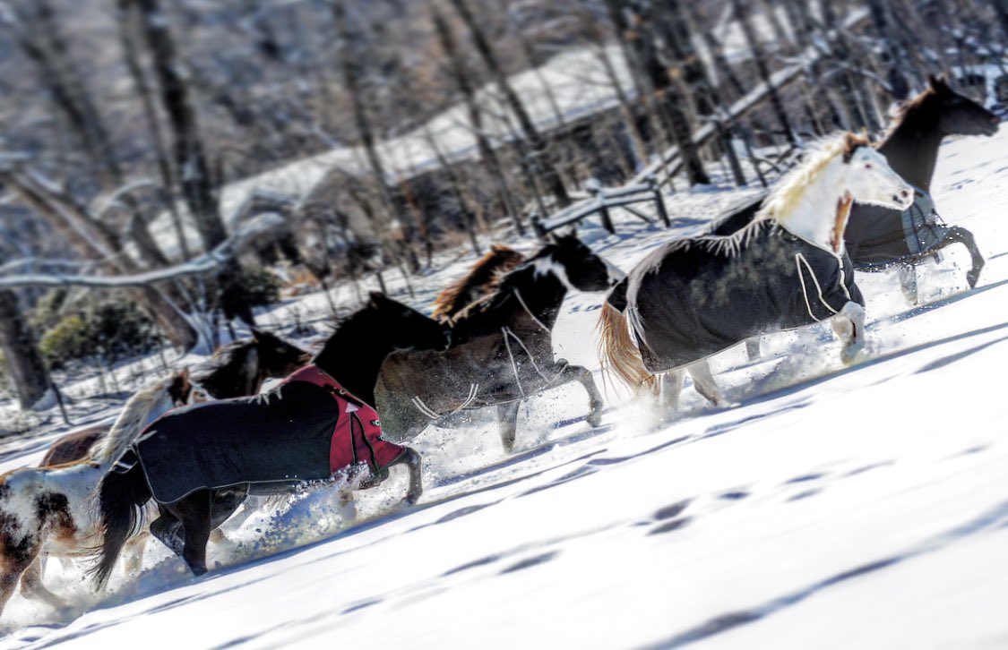 CheffCenter's tweet image. CHEFF WILL BE CLOSED AGAIN TODAY, Monday January 28th. It’s not looking good for the rest of the week either. 😕🌨😫 Stay safe, stay warm, Stay tuned! #anothersnowday #overit