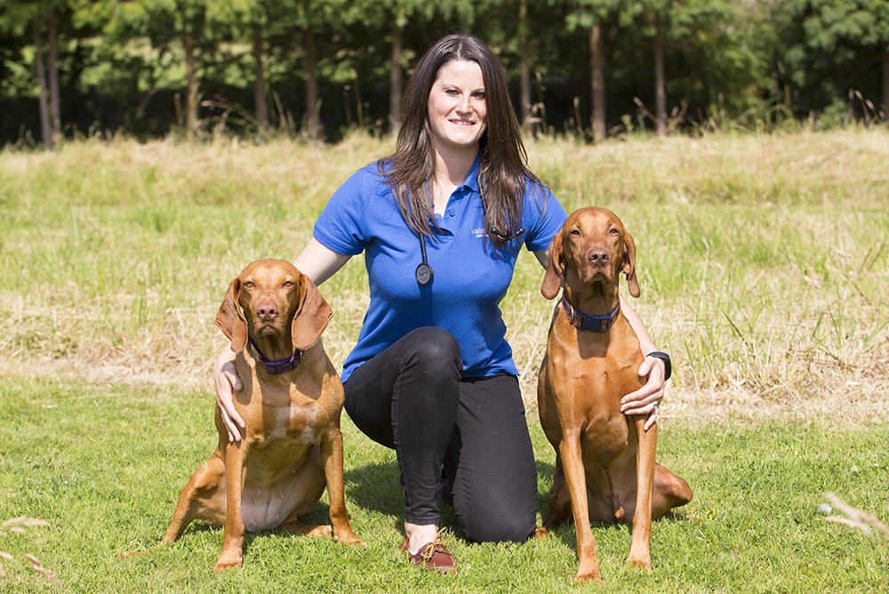 ValeReferrals's tweet image. Sian joined the Referrals team in June 2017 from a busy small animal  hospital where she was responsible for the medical team for the last 7  years. She has a particular interest in Small Animal Medicine.  Sian&apos;s passion is feline medicine &amp;amp; enjoys working with geriatric cats.