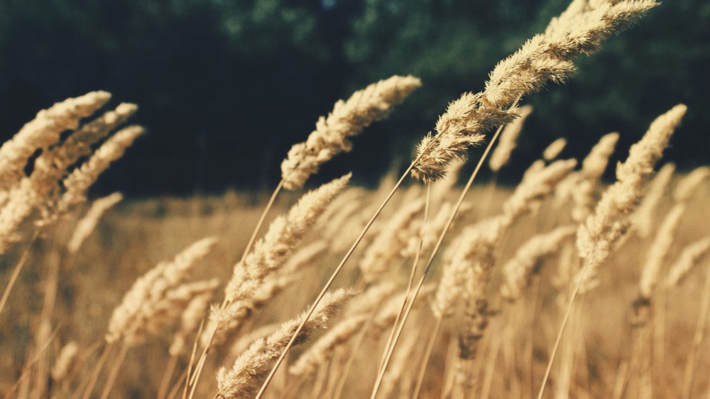 Discover #ISOBIO manuals for #construction details complying with #Passivhaus standards in two different climates: cool-temperate and warm-temperate. Download them at the following link: bit.ly/2DEL8lU