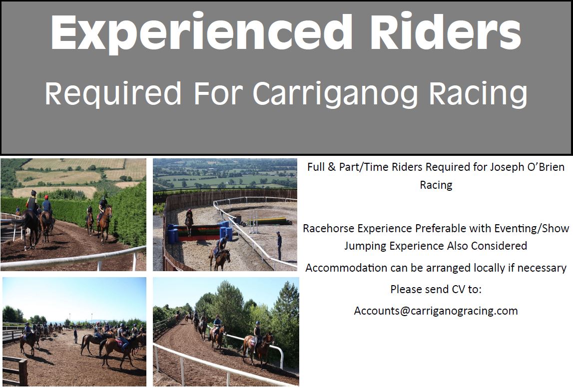 JosephOBrien2's tweet photo. We are currently looking for experienced riders and would be delighted to hear from suitable candidates. Any retweets to spread the word would be greatly appreciated. https://t.co/q0fPNyvafO