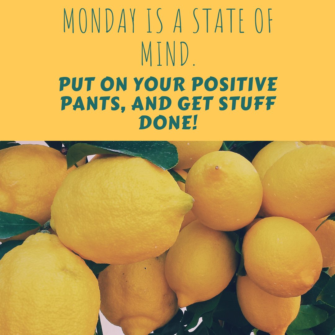 WCDevBoard's tweet photo. Let's do this! #Monday #FreshStart #WCDevBoard #EconomicDevelopment #WilliamsburgCountySC #Progress #Entrepreneur #Beginnings #Goals #Success https://t.co/hk7EvsZBhs