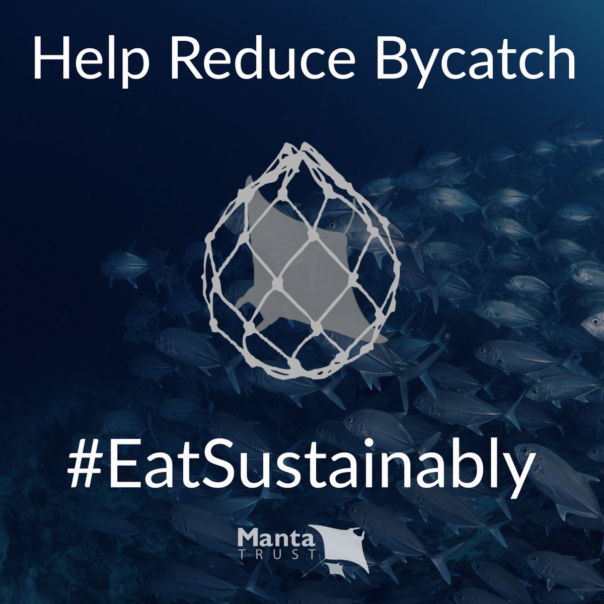 MantaTrust's tweet photo. BYCATCH . . . it's one of the biggest threats to #mantarays and #devilrays - thousands are killed incidentally in high seas fisheries each year.
But YOU CAN HELP check out our top 5 tips to https://t.co/HRa01ZZuPt
#reducebycatch #eatsustainably @mcsuk @saveourseas https://t.co/HEWFXFbp3N