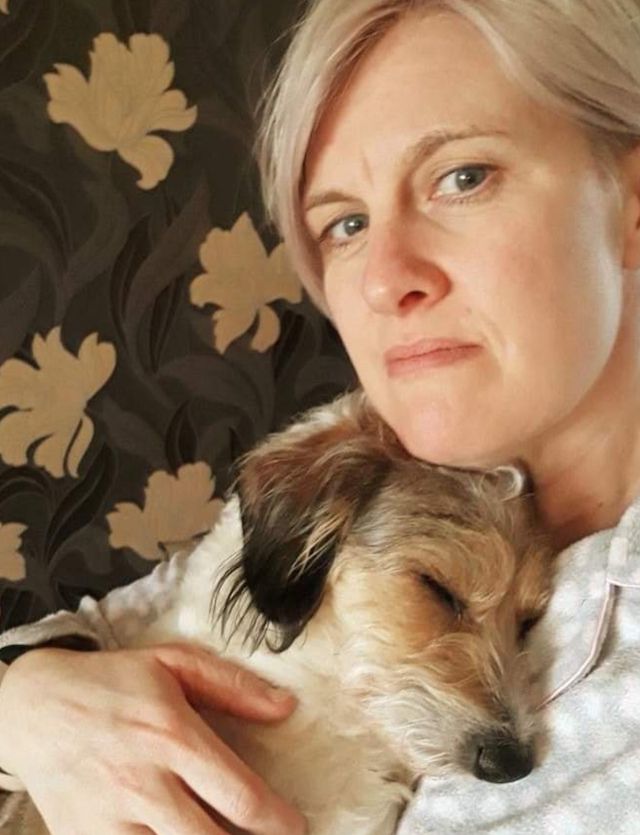 ThePawPostUk's tweet photo. Can you help find missing dogs Albi, Willow and TIlly?
Their families are desperate to trace them. We are working with @DoglostUK and each month will try to trace missing pets.
Please share/RT and help bring them home. #doglostuk 
https://t.co/meAQsPIteE https://t.co/cOKRQOG8QR