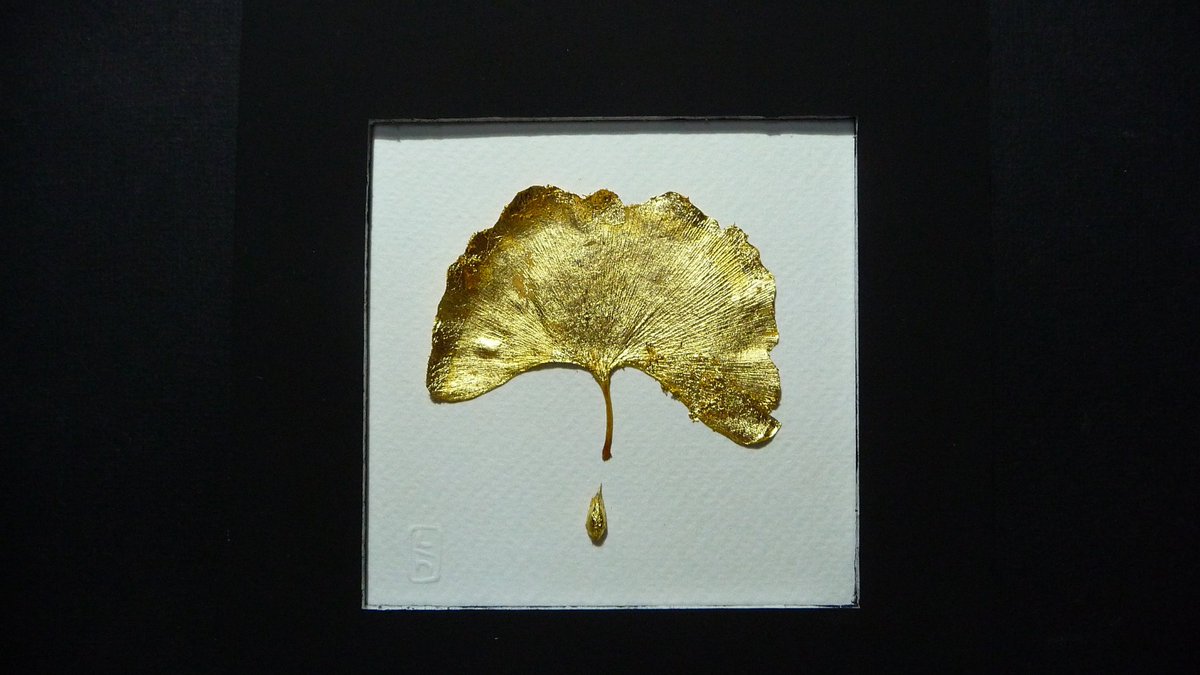 Smart_Boutiques's tweet photo. Tableau Feuille de #ginkgo recouverte d'une feuille d'or, encadrée avec un passe partout noir et protégée par un sous-verre. https://t.co/17bC9LRDA2 … #SaintValentin #art #or #immortalité #longévité #amoureux #love #decoration #plantefossile #madeinFrance #tableau #symbole https://t.co/NaqAilQhu8