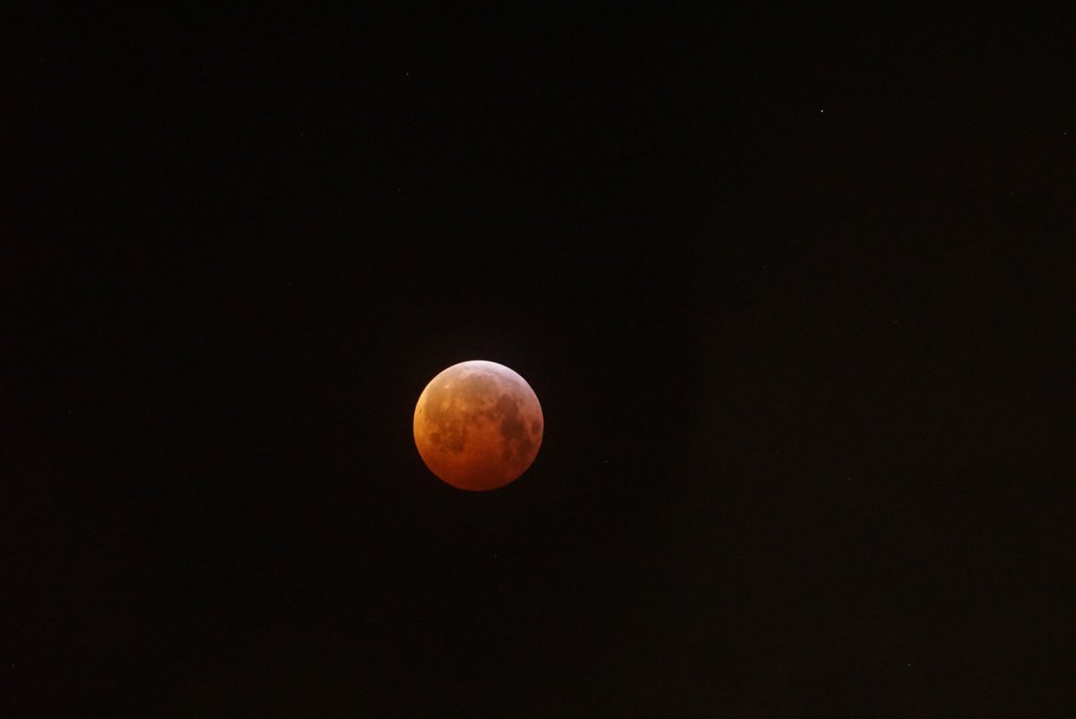 HayfieldScience's tweet photo. This morning’s lunar eclipse. https://t.co/sSApOJ9fMU
