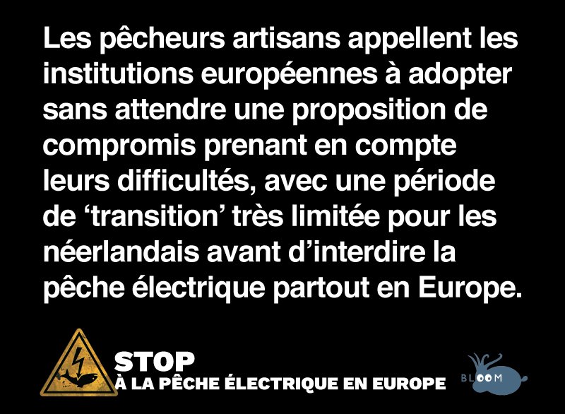 BLOOM Association tweet media