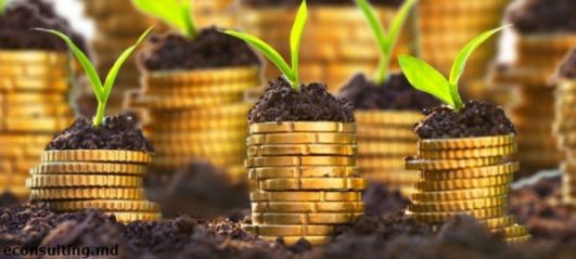 FapteMd's tweet image. Фермеры начали получать субсидии за 2018 tinyurl.com/y8wd7m2d