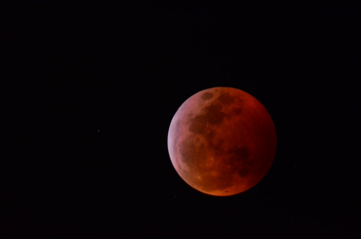 marksvoices's tweet photo. Definitely worth going out to photograph!
#SuperBloodWolfMoon https://t.co/yAHHzoZkI8