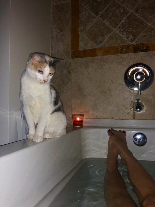 My little Queen❤️ https://t.co/sdjlPh4a97