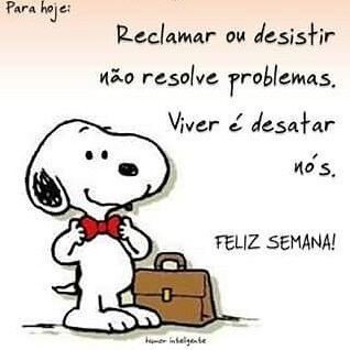 marcelo #timbeta (@mlevandovski75) on Twitter photo 