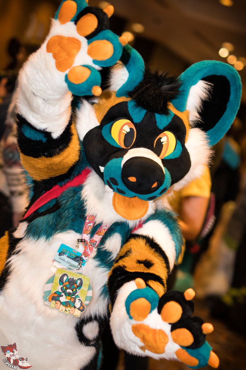 Here's a cutie!
Suiter: <a href="/wildRansom/">𝙍𝘼𝙉𝙎𝙊𝙈✨️</a> 
Suit by: @MulticolorBark 
Con: MFF2017