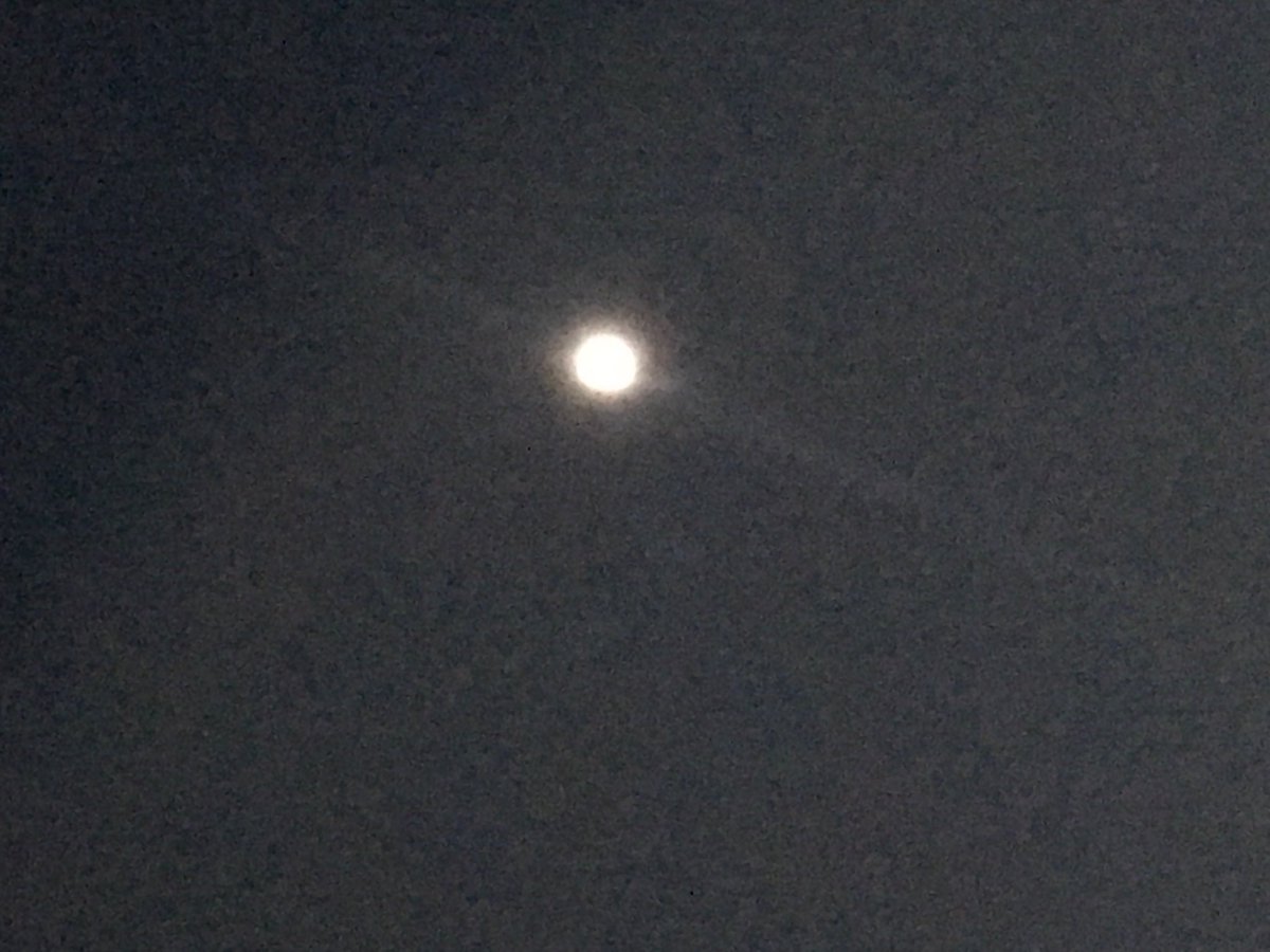 DECTeacher's tweet photo. The lunar eclipse has begun! Perfect, clear night. Photo doesn’t even come close! #tarao https://t.co/0pXBsjtv91