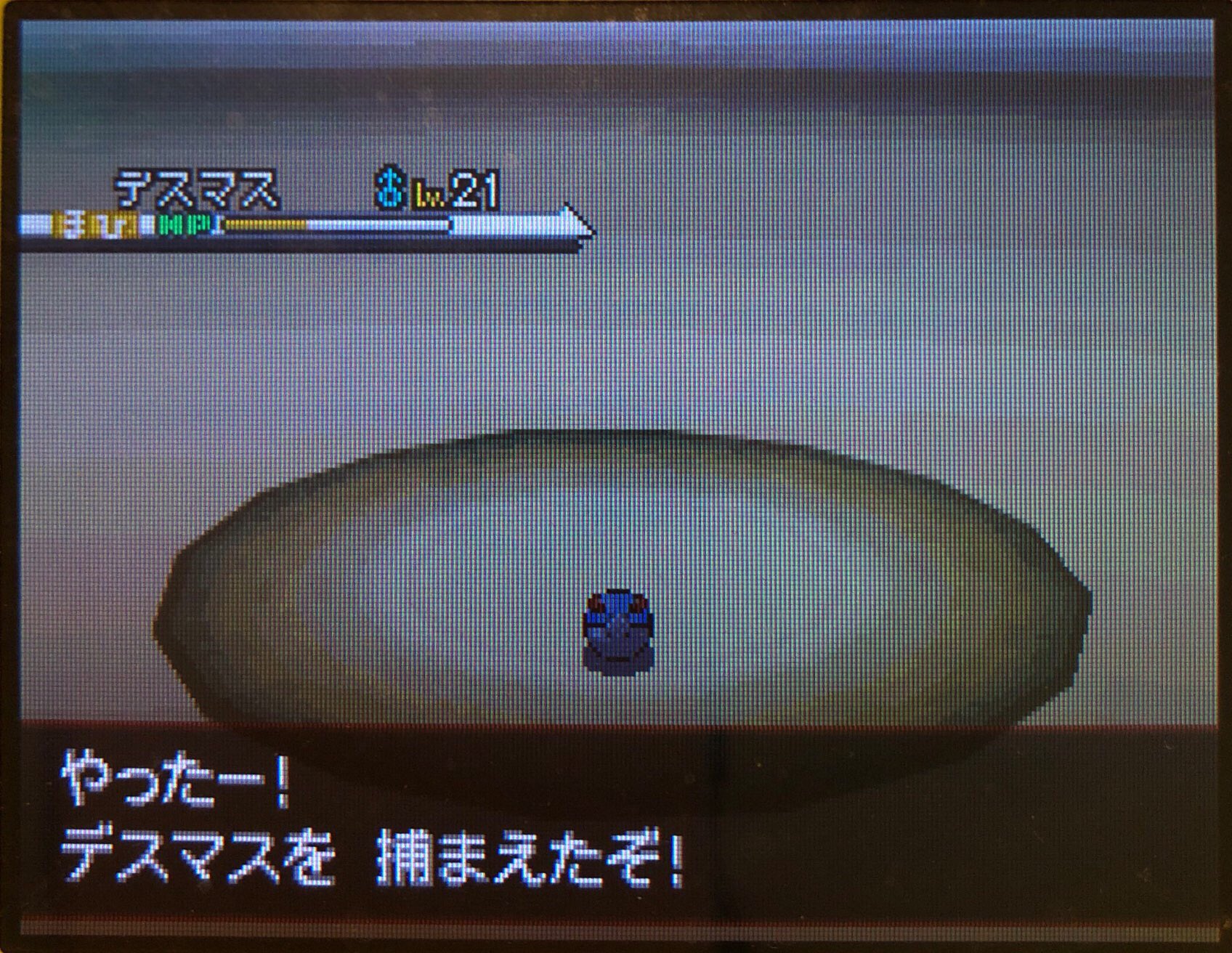 13 ライモンシティに着いた その1 ピクミン マリオ ドラクエ Ff ポケモン日記