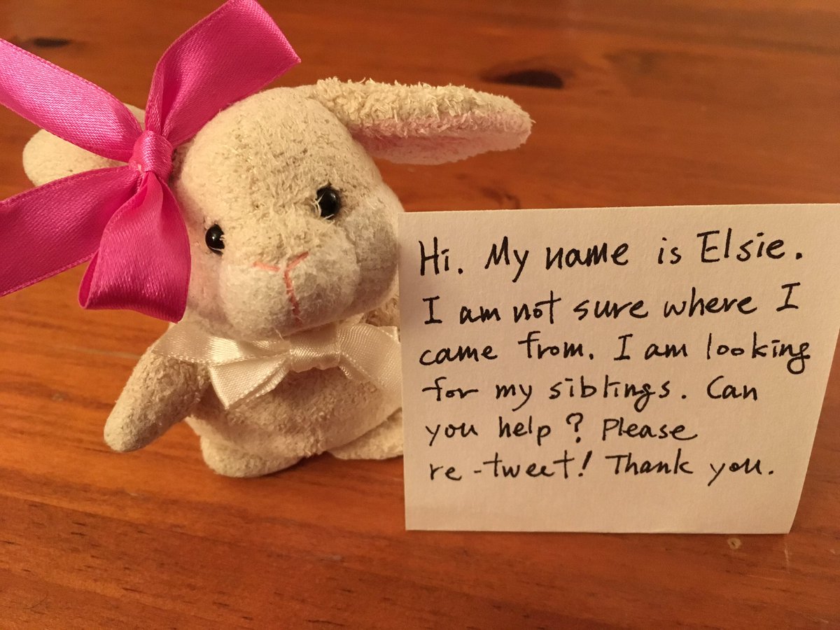 JulieJaneZebra's tweet photo. My friend Elsie is looking for her siblings? Does anyone know a bunny like Elsie? She is 3 inches tall and weighs 1 oz. https://t.co/DBdtDV2w4J