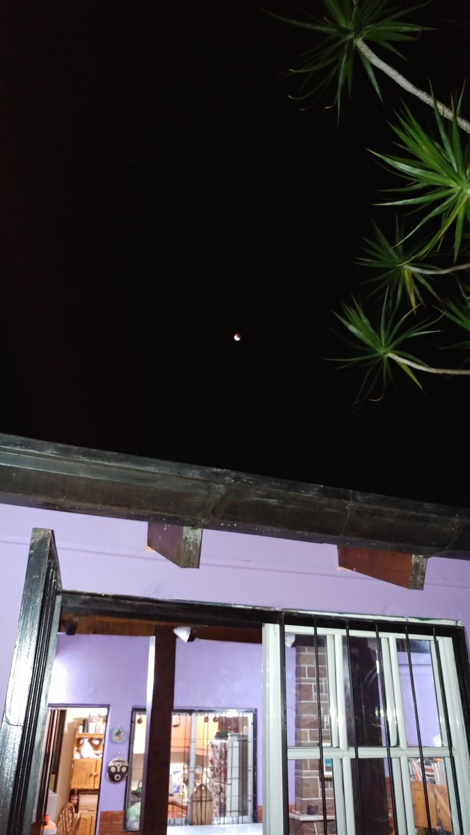 #FenomenosTN el eclipse de luna, todavía no en su totalidad, desde el patio de mi casa en Olivos, Buenos Aires.