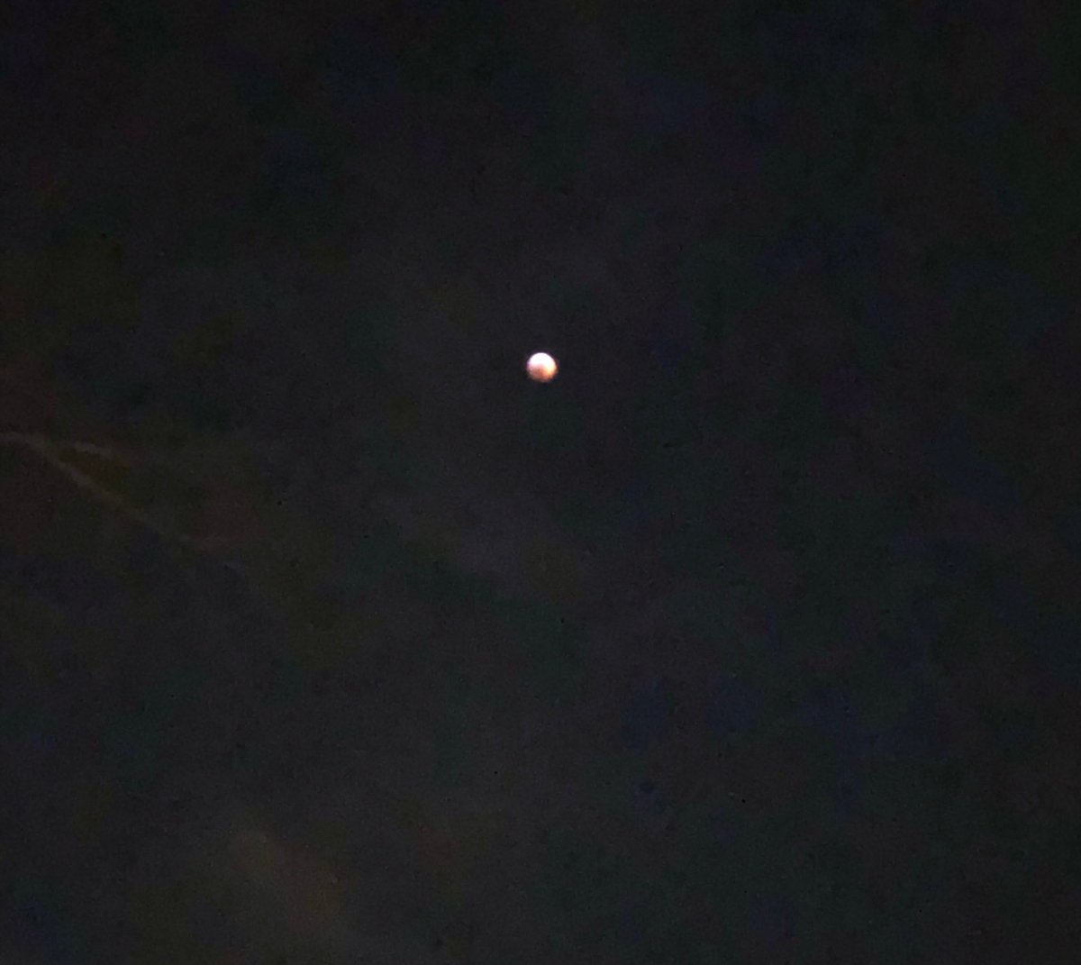 Steph__Sutton's tweet photo. Yep my iPhone doesn’t do the #TotalLunarEclipse any justice! #ItWasCool https://t.co/6RFNlLhBJz