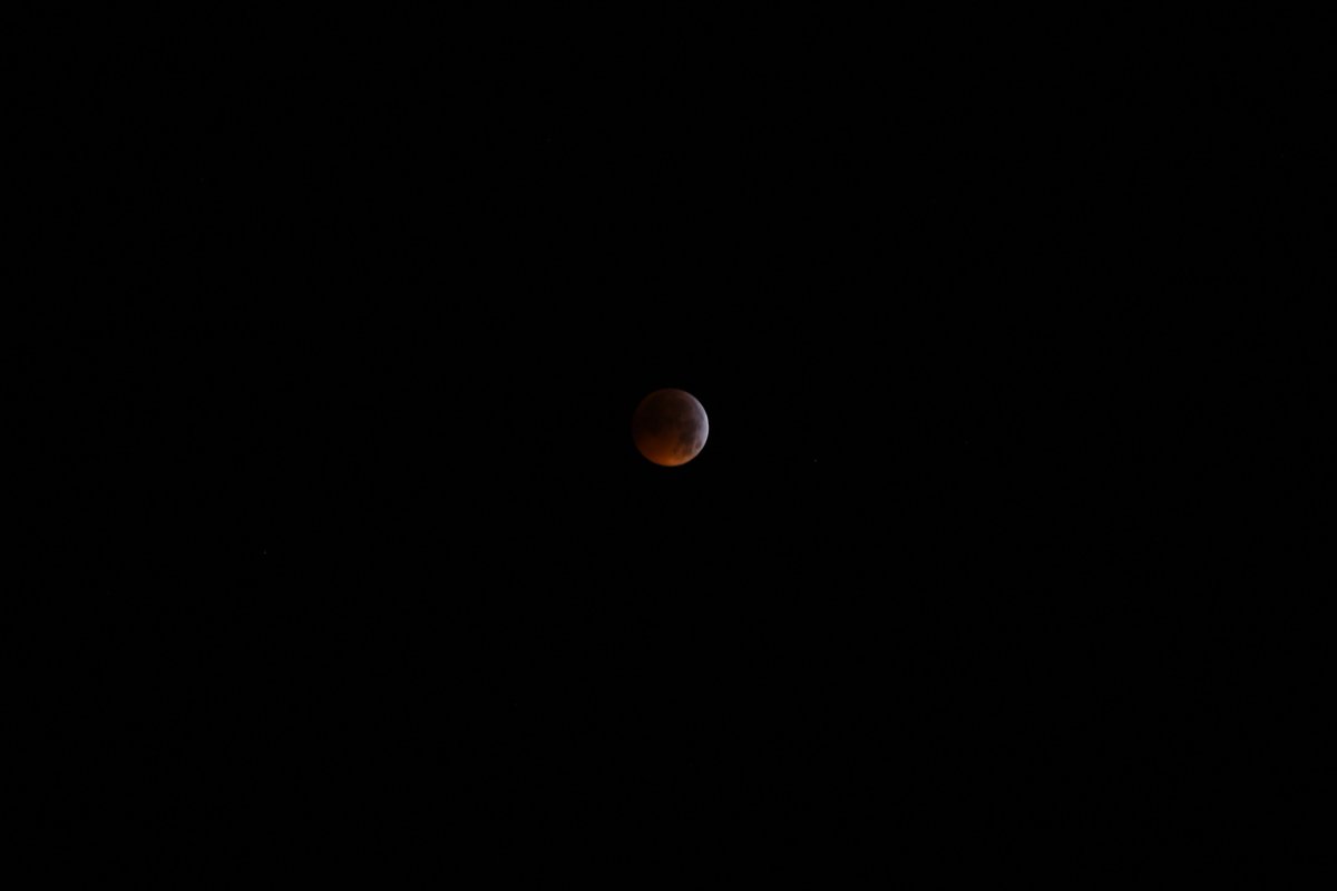 Feliperocha0708's tweet photo. #EclipseLunar! 🌕20 - 01 - 2019, cámara Nikon D500 🌙📷 Red Moon - Bogotá - Colombia https://t.co/REznrTQKLz
