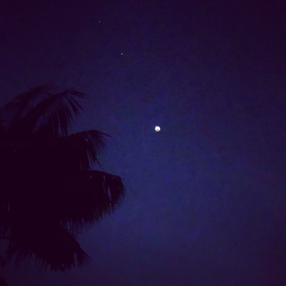 Bear Mccreary My Phone Camera Does Nothing To Capture The Eerie Majesty Of The Superbloodwolfmoon As The Moon S Spherical Shape Pops Off The Backdrop Of The Night Sky In Bear Mccreary My Phone Camera Does Nothing To Capture The Eerie Majesty Of The Superbloodwolfmoon As The Moon S Spherical Shape Pops Off The Backdrop Of The Night Sky In