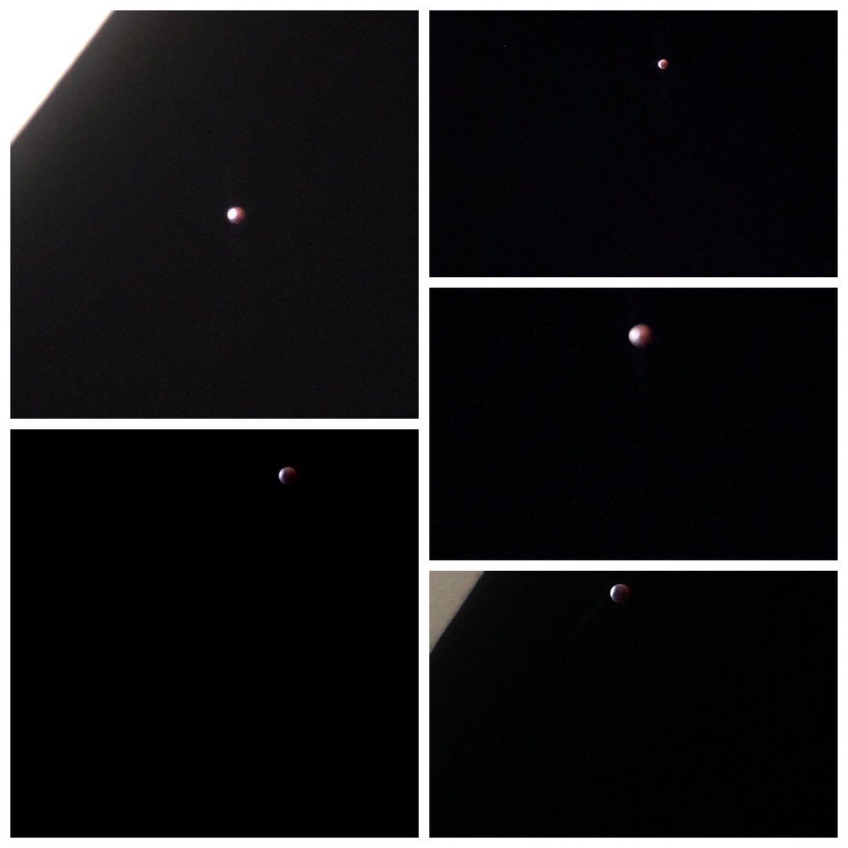 Marcela Sierra tweet media